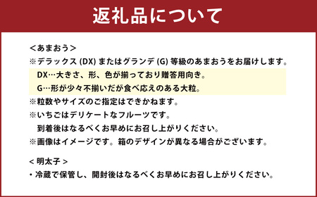 あまおう＆ふくや味の明太子100g あまおう いちご 苺 イチゴ 果物 くだもの フルーツ 明太子 めんたいこ セット 【2024年12月上旬～2025年3月下旬発送予定】