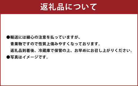 あまおう＆ふくや味の明太子100g あまおう いちご 苺 イチゴ 果物 くだもの フルーツ 明太子 めんたいこ セット 【2024年12月上旬～2025年3月下旬発送予定】