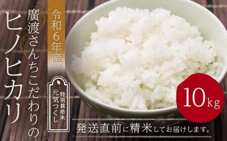 【令和6年産】廣渡さんちこだわりの ヒノヒカリ 10kg 米 こめ お米 ご飯 岡垣町 【2024年10月上旬発送開始】