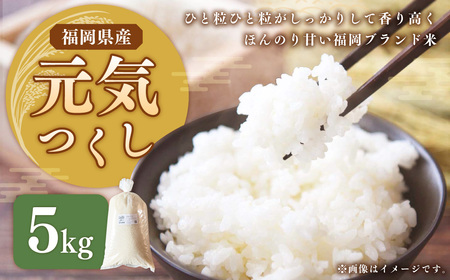 令和5年産　元気つくし20kg お米　白米　福岡県産米　特A受賞　銘柄米 〇「元気つくし」 白米5㎏ 福岡県にじ農協 令和6年産: にじ農業