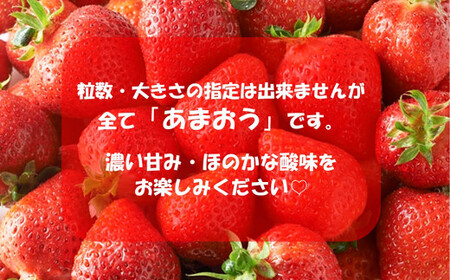 福岡県産 博多あまおう 約1.68kg（約280g×6パック入り）あまおう 【2026年1月下旬～3月下旬頃順次発送予定】