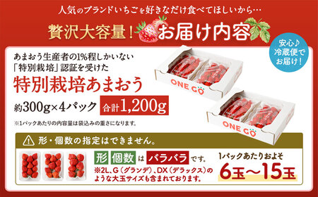 【予約受付】特別栽培 あまおう 1,200g  大粒 不揃い 選べる大容量あまおう （2L,グランデ,DX デラックス）減農薬 あまおう いちご 高級 いちごあまおう イチゴ 苺 フルーツ 果物 ふるさと納税くだもの amaou 福岡県 【2026年2月上旬～下旬発送予定】