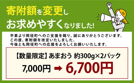 【寄附額改定↓】【予約受付】選べる大容量あまおう 600g 大粒 不揃い 選べる大容量あまおう （2L,グランデ,DX デラックス）減農薬 あまおう いちご 高級 いちごあまおう イチゴ 苺 フルーツ 果物 ふるさと納税くだもの amaou 福岡県 【2026年3月上旬～下旬発送予定】