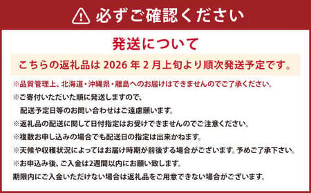 ティッシュボックス用 特別仕様の桐箱入り プレミアムあまおう 約400g×1パック 【ギフト・お祝い・贈答用】【2026年2月上旬~4月上旬発送予定】