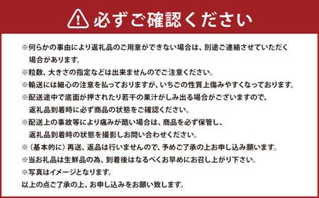 ティッシュボックス用 特別仕様の桐箱入り プレミアムあまおう 約400g×1パック 【ギフト・お祝い・贈答用】【2026年2月上旬~4月上旬発送予定】