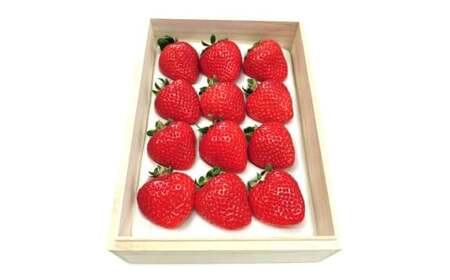 ティッシュボックス用 特別仕様の桐箱入り プレミアムあまおう 約400g×1パック 【ギフト・お祝い・贈答用】【2026年2月上旬~4月上旬発送予定】