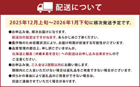 福岡産【冬】あまおう2パック いちご 苺 イチゴ 果物 くだもの フルーツ 冷蔵 【2025年12月上旬～2026年1月下旬発送予定】