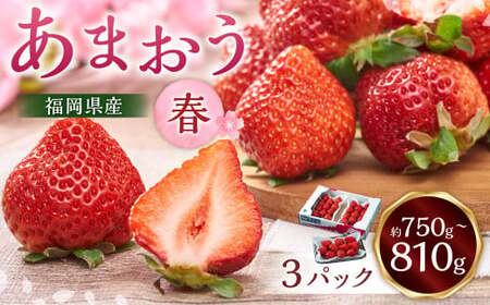 福岡産【春】あまおう3パック いちご 苺 イチゴ 果物 くだもの フルーツ 冷蔵 【2026年2月上旬～3月下旬発送予定】