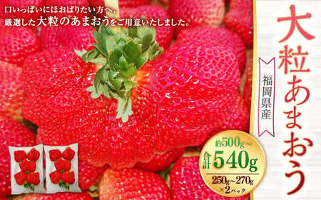 大粒あまおう 2パック あまおう いちご イチゴ 苺 果物 くだもの フルーツ【2026年2月上旬~4月上旬発送予定】