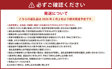 大粒あまおう 2パック あまおう いちご イチゴ 苺 果物 くだもの フルーツ【2026年2月上旬~4月上旬発送予定】