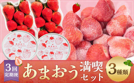 【予約受付・3回定期便】あまおう満喫セット あまおう いちご イチゴ 苺 果物 くだもの フルーツ シャーベット アイス【2026年3月上旬～8月発送予定】