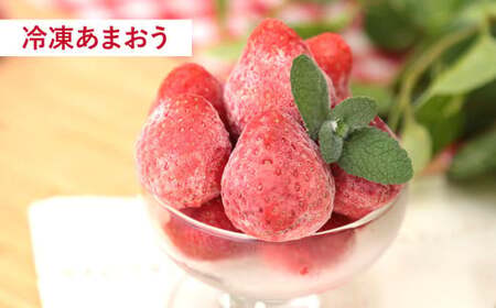 【予約受付・3回定期便】あまおう満喫セット あまおう いちご イチゴ 苺 果物 くだもの フルーツ シャーベット アイス【2026年3月上旬～8月発送予定】