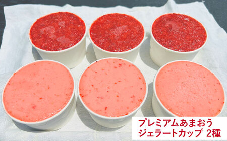 【予約受付・3回定期便】あまおう満喫セット あまおう いちご イチゴ 苺 果物 くだもの フルーツ シャーベット アイス【2026年3月上旬～8月発送予定】