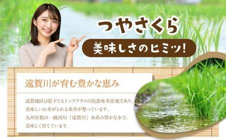 【令和7年産】福岡県産つやさくら 5kg 【2025年10月上旬発送開始】 岡垣町ふるさと納税返礼品 お米 米 コメ こめ 精米