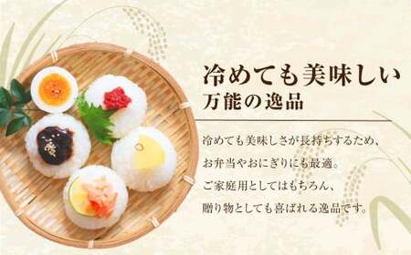 【令和7年産】 福岡県産 夢つくし 精米 10kg（5kg×2） ／ ゆめつくし お米 米 白米 ご飯 ブランド米 九州 福岡県 岡垣町