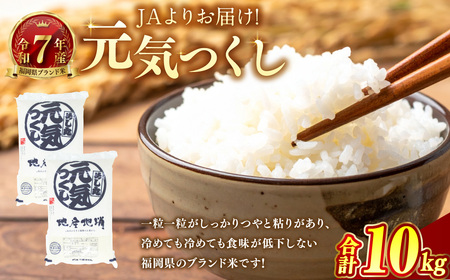 【令和7年産】JAよりお届け！福岡県ブランド米「元気つくし」10kg 米 お米 こめ コメ ご飯 ごはん 元気つくし 福岡県産 国産 10kg 精米 ブランド米