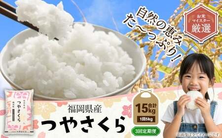 【3ヶ月定期便】福岡県産つやさくら 5kg 岡垣町 ふるさと納税返礼品 お米 こめ 精米 ご飯 ごはん 国産 定期便