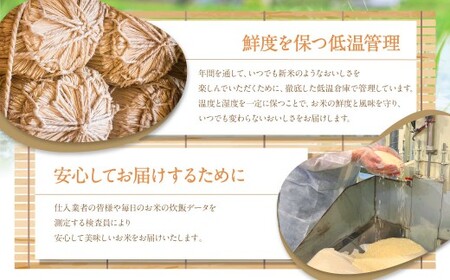 【3ヶ月定期便】福岡県産つやさくら 5kg 岡垣町 ふるさと納税返礼品 お米 こめ 精米 ご飯 ごはん 国産 定期便