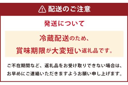 ぶどうの樹 自家製 ハンバーグ 150g×4個&オリジナル 白ワイン A 冷蔵