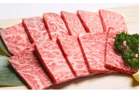 福岡県産 A5 博多 和牛 ロース 焼肉用 600g(300g×2パック) 冷凍