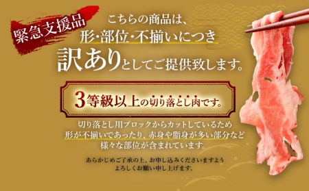 緊急支援品 無くなり次第終了 訳あり】 博多和牛 ＋ 国内産 黒毛和牛