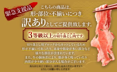 【数量限定 訳あり】博多和牛＋九州産黒毛和牛 切り落とし 合計1.2kg