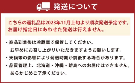 2023年11月上旬より順次発送】福岡県産 博多甘うぃ 約3.6kg(20玉～27玉