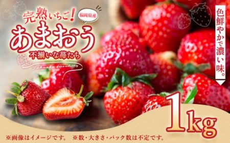 【2023年1月下旬より順次発送】完熟 いちご ! 計約1kg 不揃いな苺たち「あまおう」 苺 あまおう