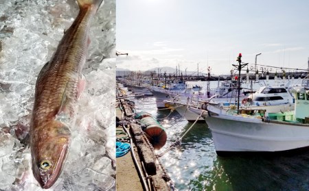 エソすり身1kg 味付け済み(加熱調理用) 岡垣町 エソ すりみ 練り物 天ぷら 揚げ物 煮物 鍋