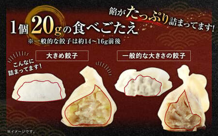 【3ヶ月定期便】【国産冷凍生餃子】ラー麦を使用した大きめ餃子50個＆とんこつラーメン5食付き 合計2kg