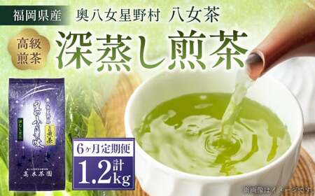 【6ヶ月定期便】【八女茶】奥八女星野村 深蒸し高級煎茶 (深蒸し茶) 100g×2袋