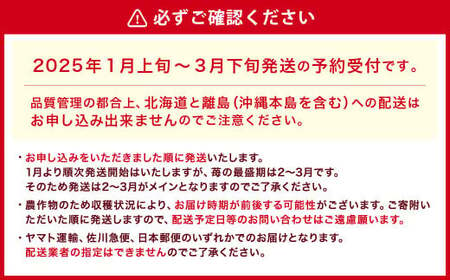 【アフター対応】あまおう 約280g×6パック【2025年1月上旬～3月下旬発送予定】 苺 イチゴ いちご 果物 フルーツ福岡県 遠賀町