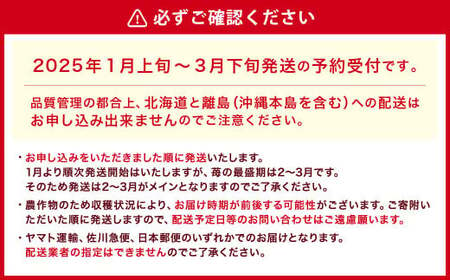 【アフター対応】あまおう 約280g×2パック【2025年1月上旬～3月下旬発送予定】 苺 イチゴ いちご 果物 フルーツ 福岡県 遠賀町