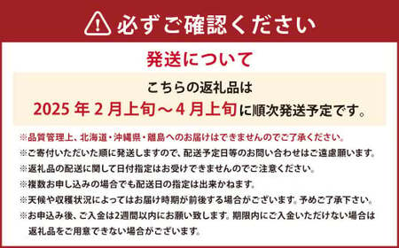 あまおうDX 約280g×4パック あまおう いちご イチゴ 苺 果物 くだもの フルーツ【2025年2月上旬～4月上旬発送予定】