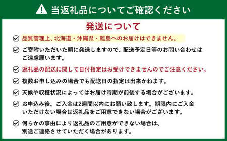 【予約受付・4回定期便】あまおう大好き定期便 ジェラート いちご レアチーズケーキ いちご イチゴ 苺 果物 くだもの フルーツ スイーツ デザート 定期便【2025年2月上旬～7月下旬発送予定】