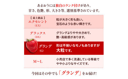 福岡県産 あまおう 1000g （250g × 4パック） 苺 イチゴ いちご 大粒 果物 フルーツ 福岡 福岡県 【2025年1月上旬～下旬発送予定】