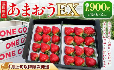 【ギフト用／特別栽培】 福岡県産 あまおう EX 約450g×2パック 【2026年1月上旬～3月下旬発送予定】 いちご イチゴ 苺 フルーツ 果物 くだもの ギフト 贈答用 贈り物 福岡県 遠賀町