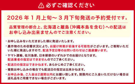 【ギフト用／特別栽培】 福岡県産 あまおう EX 約450g×2パック 【2026年1月上旬～3月下旬発送予定】 いちご イチゴ 苺 フルーツ 果物 くだもの ギフト 贈答用 贈り物 福岡県 遠賀町