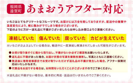 【アフター対応】あまおう 約280g×2パック 【2026年1月上旬~3月下旬発送予定】 苺 イチゴ いちご 果物 フルーツ 福岡県 遠賀町