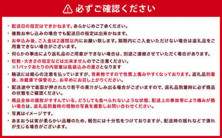 【アフター対応】あまおう 約280g×2パック 【2026年1月上旬~3月下旬発送予定】 苺 イチゴ いちご 果物 フルーツ 福岡県 遠賀町