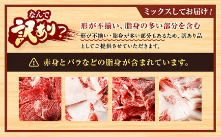 【訳あり】博多和牛 切落し 1kg ［切り落とし 牛肉］