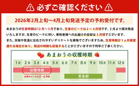 数量限定 福岡県産 あまおう 270g×4パック【2026年2月上旬～4月上旬発送予定】