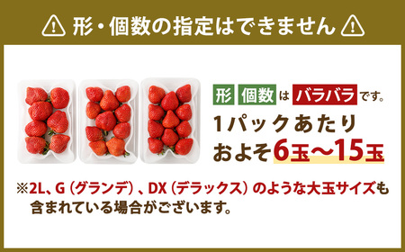 数量限定 福岡県産 あまおう 270g×4パック【2026年2月上旬～4月上旬発送予定】