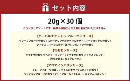 バラエティ入浴料 詰め合わせ 日本製 【30個】 入浴料 入浴剤 お風呂 バス用品 バスタイム 日用品 ランダム アソート 個包装 セット
