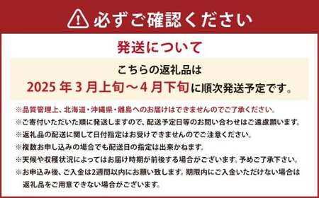 春のあまおう (2L ・ 2A ・ G規格以上 6パック) 【数量限定】 【2026年3月上旬~4月下旬発送予定】 あまおう 苺 いちご 果物 果実 フルーツ 九州 福岡県 遠賀町 冷蔵