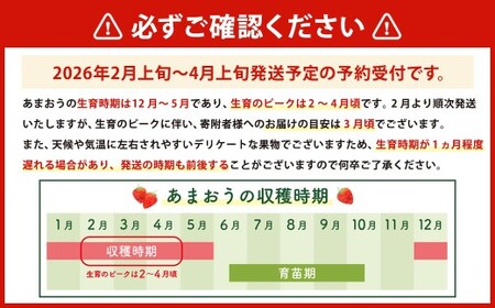 【数量限定】 福岡県産 あまおう 270g × 2パック 【2026年2月上旬～4月上旬発送予定】 苺 イチゴ いちご 果物 フルーツ 果実 国産 アフター保証 アフター対応 福岡県 遠賀町 冷蔵