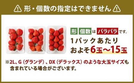 【数量限定】 福岡県産 あまおう 270g × 2パック 【2026年2月上旬～4月上旬発送予定】 苺 イチゴ いちご 果物 フルーツ 果実 国産 アフター保証 アフター対応 福岡県 遠賀町 冷蔵