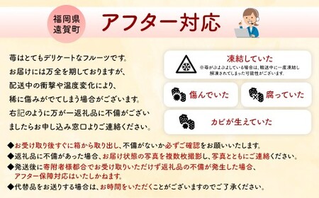 【数量限定】 福岡県産 あまおう 270g × 2パック 【2026年2月上旬～4月上旬発送予定】 苺 イチゴ いちご 果物 フルーツ 果実 国産 アフター保証 アフター対応 福岡県 遠賀町 冷蔵