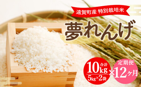 【12ヶ月定期便】 特別栽培米 夢れんげ 10kg×1袋 合計120g 精米 米 コメ 定期便 【2025年10月下旬発送開始】