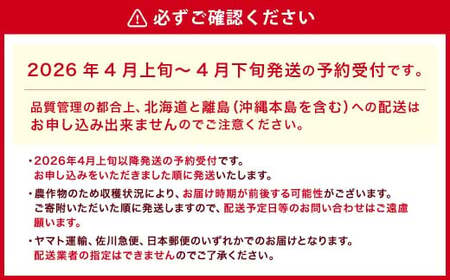 【アフター対応】 あまおう 約280g×6パック （計約1.68kg） 【2026年4月上旬～4月下旬発送予定】 苺 いちご イチゴ 果物 果実 フルーツ 九州 福岡県 遠賀町 冷蔵